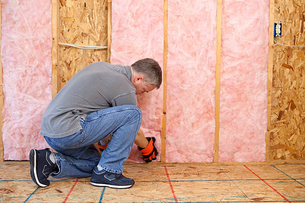 Best Commercial Insulation Services  in Makawao, HI